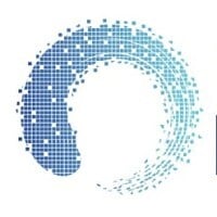 Blue Ring Investors Logo